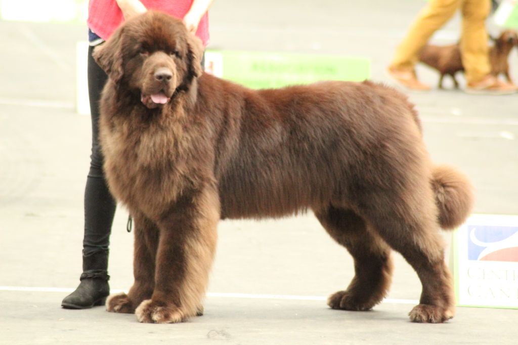 Nours au jardin d'arthémis (Sans Affixe)